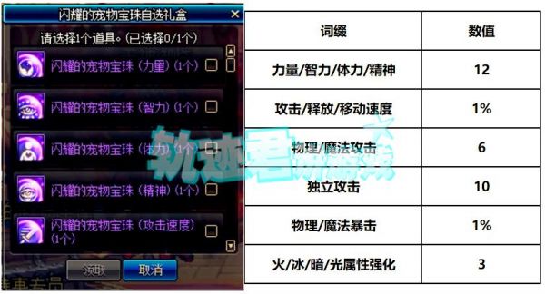 dnf宠物附魔宝珠（dnf宠物附魔宝珠拍卖行）