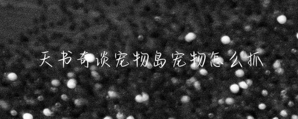 天书奇谈宠物岛宠物怎么抓