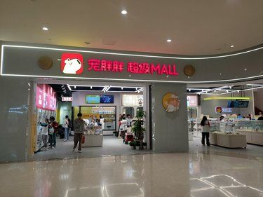 宠胖胖超级MALL——2000平的宠物乐园 