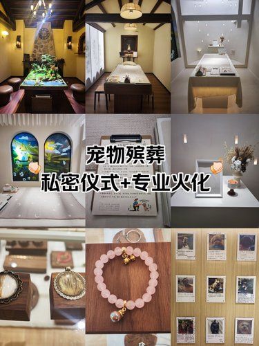 宠物殡葬，私密仪式+专业火化，爱宠永远陪伴！