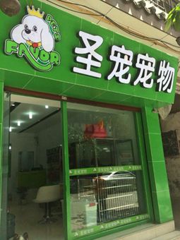 圣宠宠物贵州遵义宠物店招聘宠物美容师助理