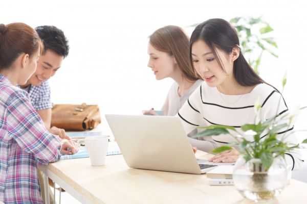 成年猫名字训练指南：让您的猫咪更容易接受新名字 图2
