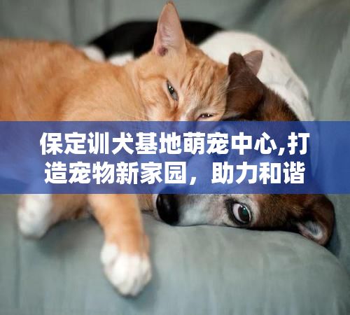 保定训犬基地萌宠中心,打造宠物新家园，助力和谐共融