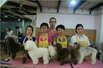 学宠物美容培训要了解哪方面