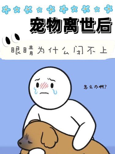 我发现宠物离世后眼睛闭不上