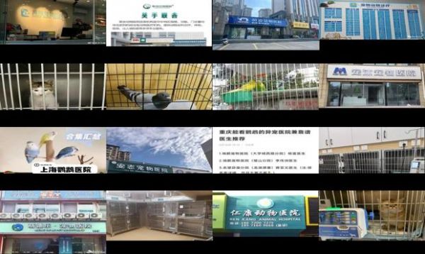 专治鸟类的宠物医院
