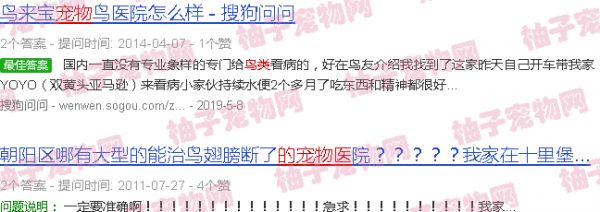 专治鸟类的宠物医院