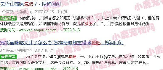猫减肥经验
