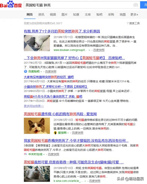 怎么辨别橘猫和土猫的区别（橘猫算土猫还是宠物猫）
