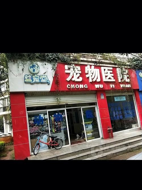 昆明哪家宠物医院实惠，昆明哪家这宠物医院又好又便宜？
