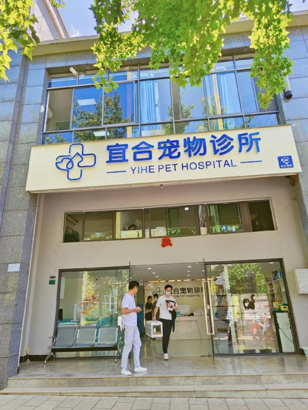 昆明哪家宠物医院实惠，昆明哪家这宠物医院又好又便宜？
