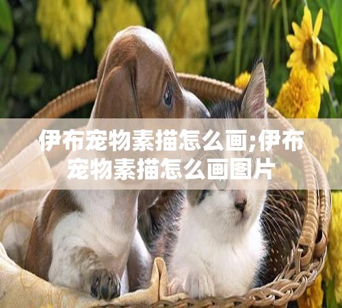 伊布宠物素描怎么画;伊布宠物素描怎么画图片