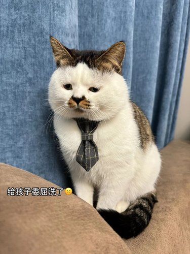宝宝这么可爱 怎么舍得凶的！ 