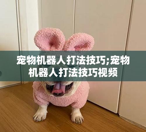 宠物机器人打法技巧;宠物机器人打法技巧视频