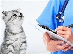 苏州宠物服务 优质宠物用品 丰富实用