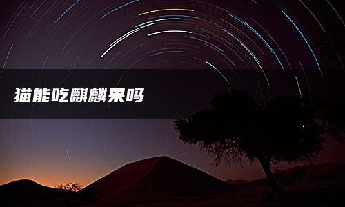 猫能吃麒麟果吗