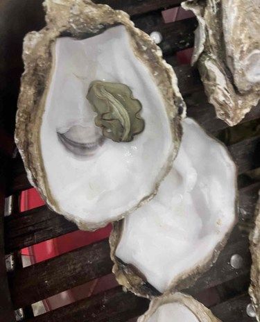 这生蚝能仅退款吗