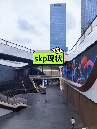 skp现状