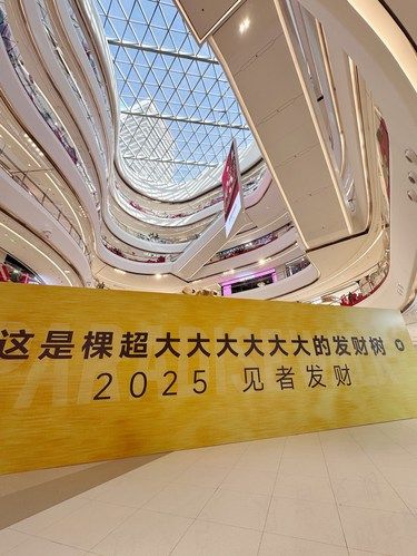 本周末必逛！梅江天街摇钱树亮相！金箔雨来袭