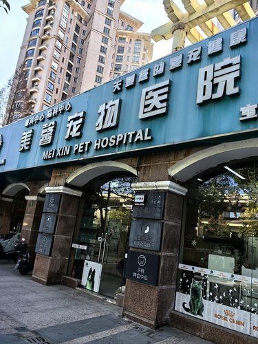 医术超赞 医心更美~