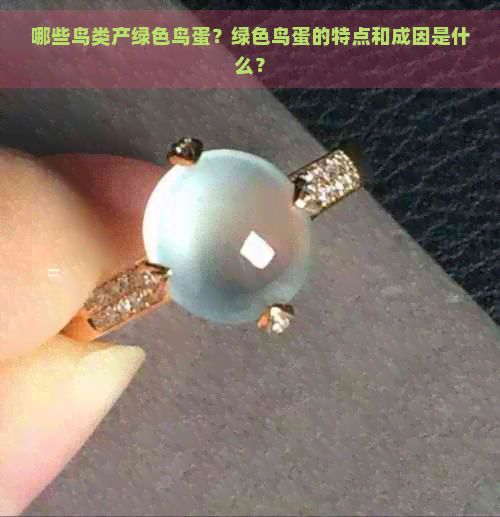 哪些鸟类产绿色鸟蛋?绿色鸟蛋的特点和成因是什么?