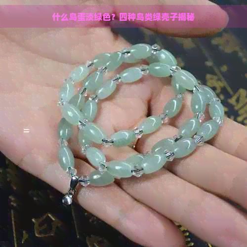 什么鸟蛋淡绿色?四种鸟类绿壳子揭秘
