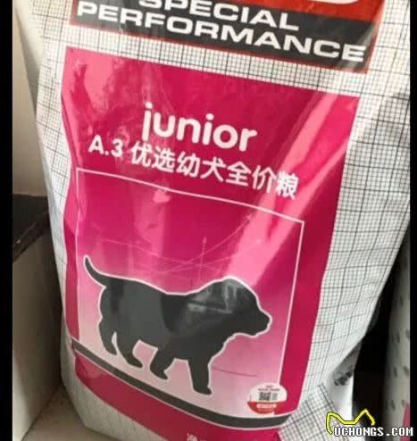 你为什么选择喂宠物皇家狗粮？