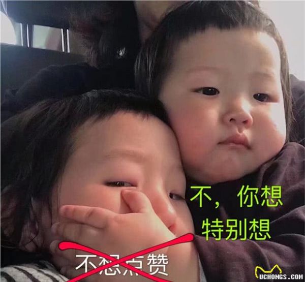 你为什么选择喂宠物皇家狗粮？