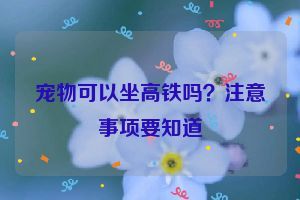 宠物可以坐高铁吗？注意事项要知道