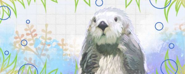 海獭能养吗有攻击性吗 水族世界