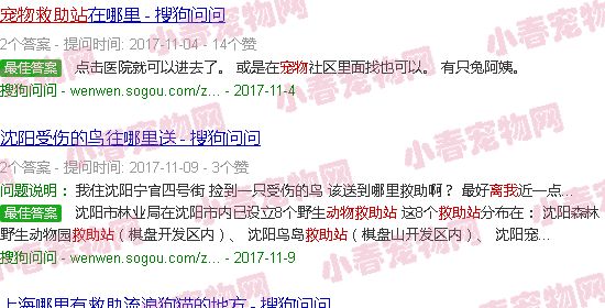 离我最近的宠物救助站