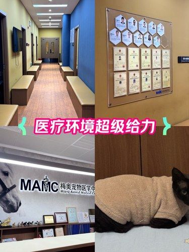 终于找到了让我安心的宠物医院！！专业[种草]