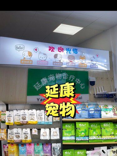 已老实❗第一次见这样的宠物医院❗