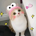 https://p0.meituan.net/userheadpicbackend/f286a80e565ff766d8c3834396f47abc297307.jpg%40120w_120h_1e_1c_1l%7Cwatermark%3D0