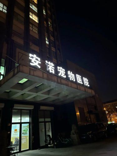 带着毛孩子体检的一天