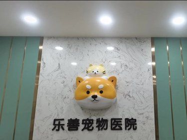 带着毛孩子体检的一天