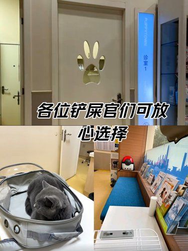 治疗室的放松时光