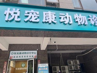 带着毛孩子打针的一天