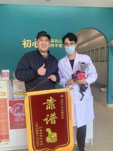 感谢兽医毛医生的一天