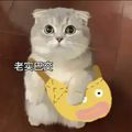 https://p0.meituan.net/userheadpicbackend/3f0470132c0bf7d917f760e5914cf0c6116725.jpg%40120w_120h_1e_1c_1l%7Cwatermark%3D0