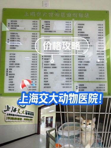 上海交大动物医院攻略