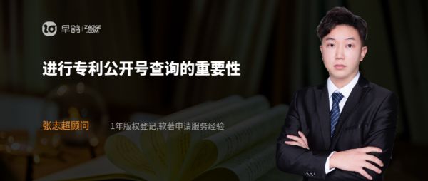 进行专利公开号查询的重要性