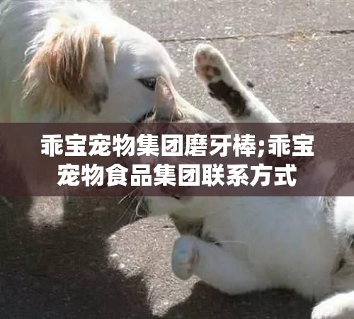 乖宝宠物集团磨牙棒;乖宝宠物食品集团联系方式