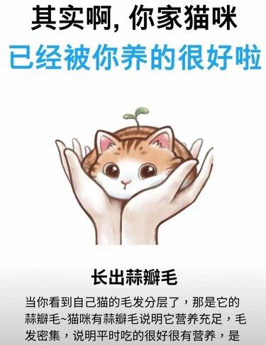 哇哦！你家猫咪被养得这么棒