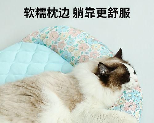 小猫去世后的处理方法（以宠物为主）