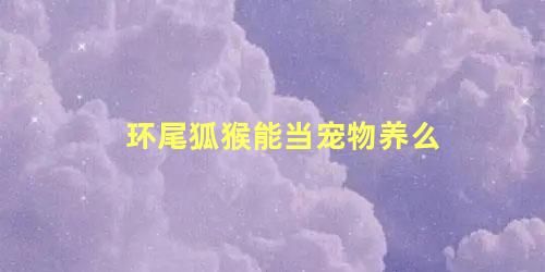 环尾狐猴能当宠物养么