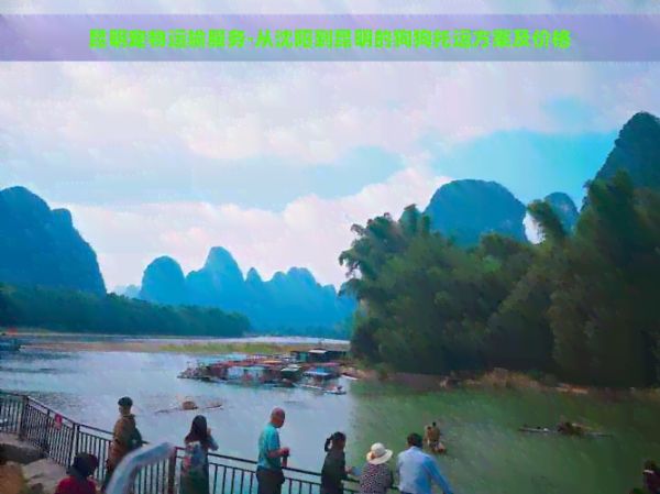 昆明宠物运输服务-从沈阳到昆明的狗狗托运方案及价格