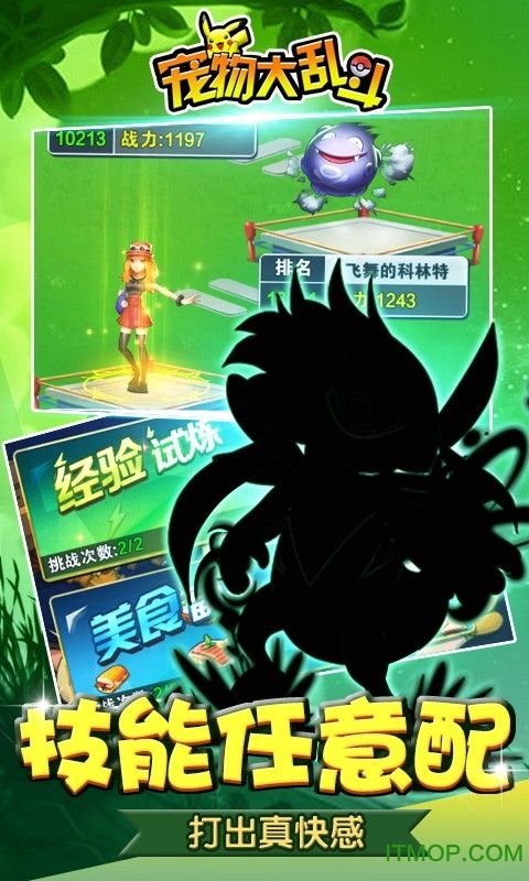 宠物大乱斗破解版