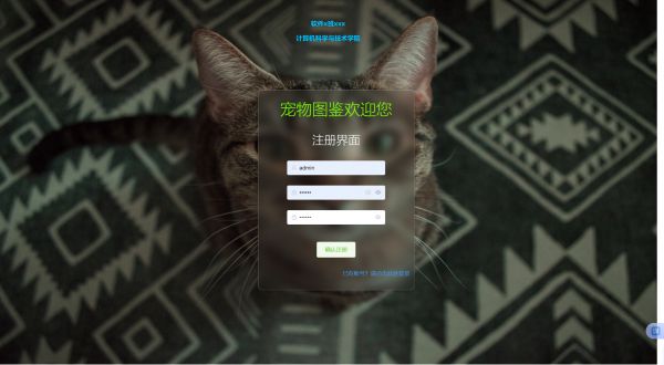输入图片说明
