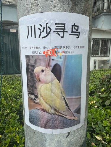 路边看到这个原谅我不厚道地笑了[笑哭]